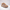 New Balance 9060 Mushroom