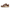 Nike Dunk Low Café