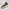 Timberland Greenstride Motion 6 Color Café con Beige
